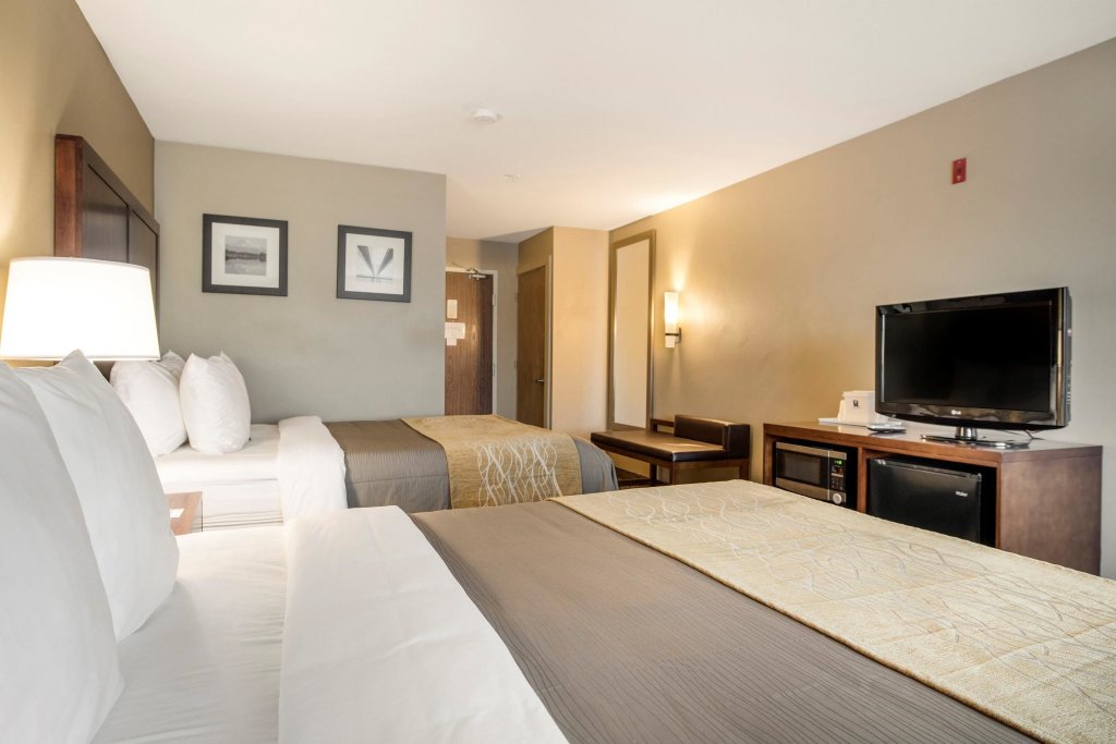 Фото Comfort Inn Auburn - Seattle