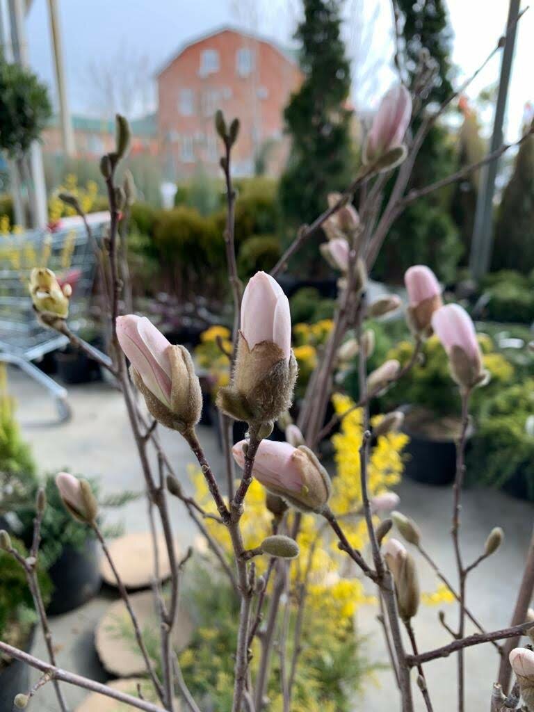 Магазин Лето На Дзержинского Краснодар Телефон