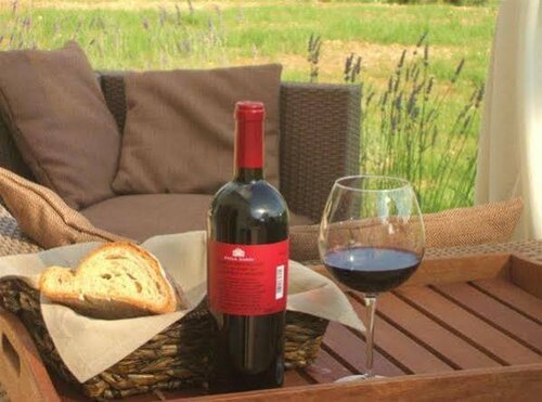 Гостиница Agriturismo Il Gelso Antico