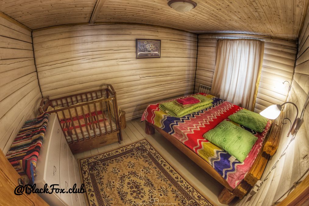 Фото Черная лиса