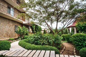 У Старого Абрикоса