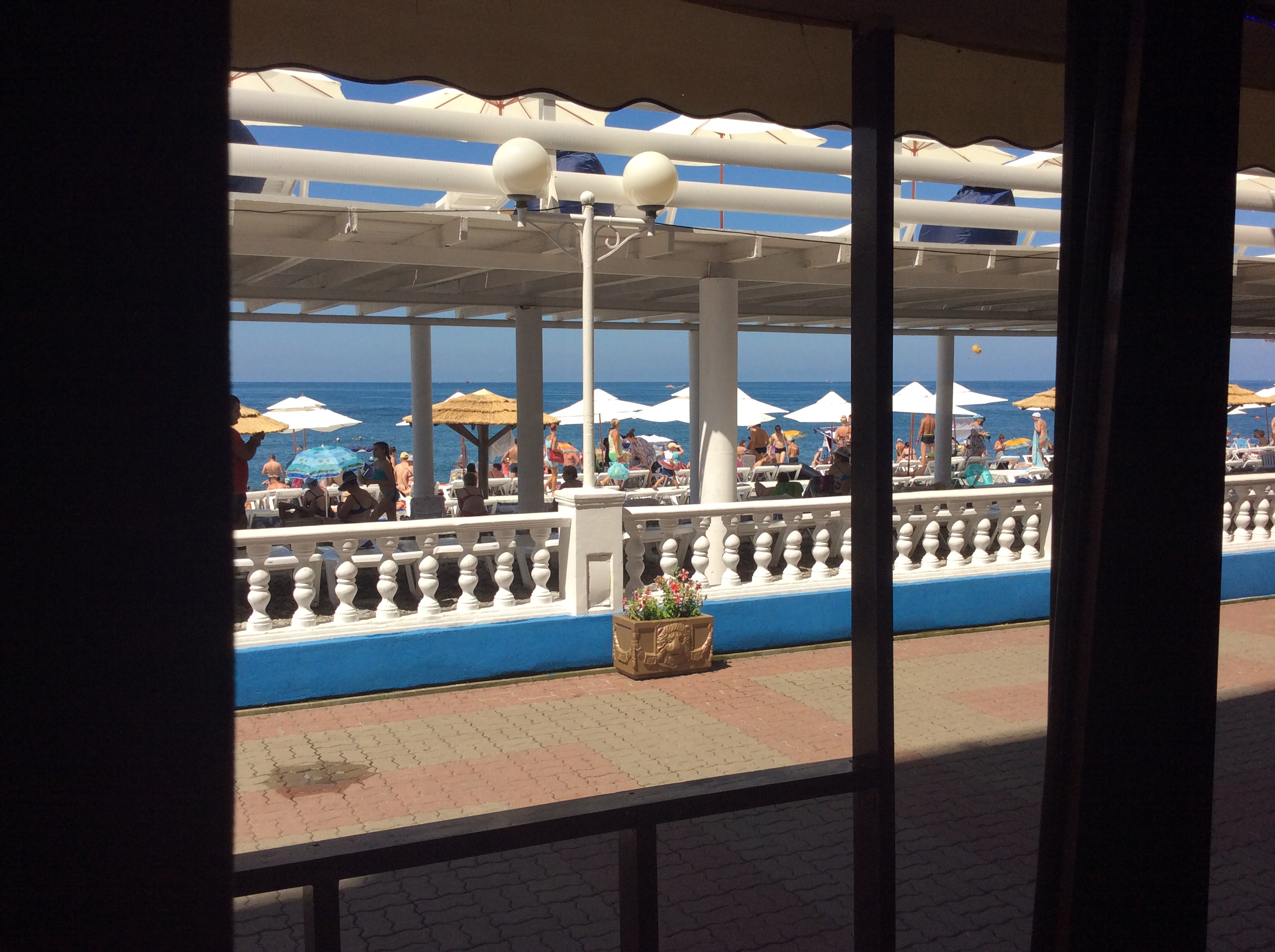 Фото Жемчужина Сочи