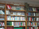 Пионерская сельская библиотека (posyolok Pionerskiy, Tsentralnaya ulitsa, 1А), biblioteca