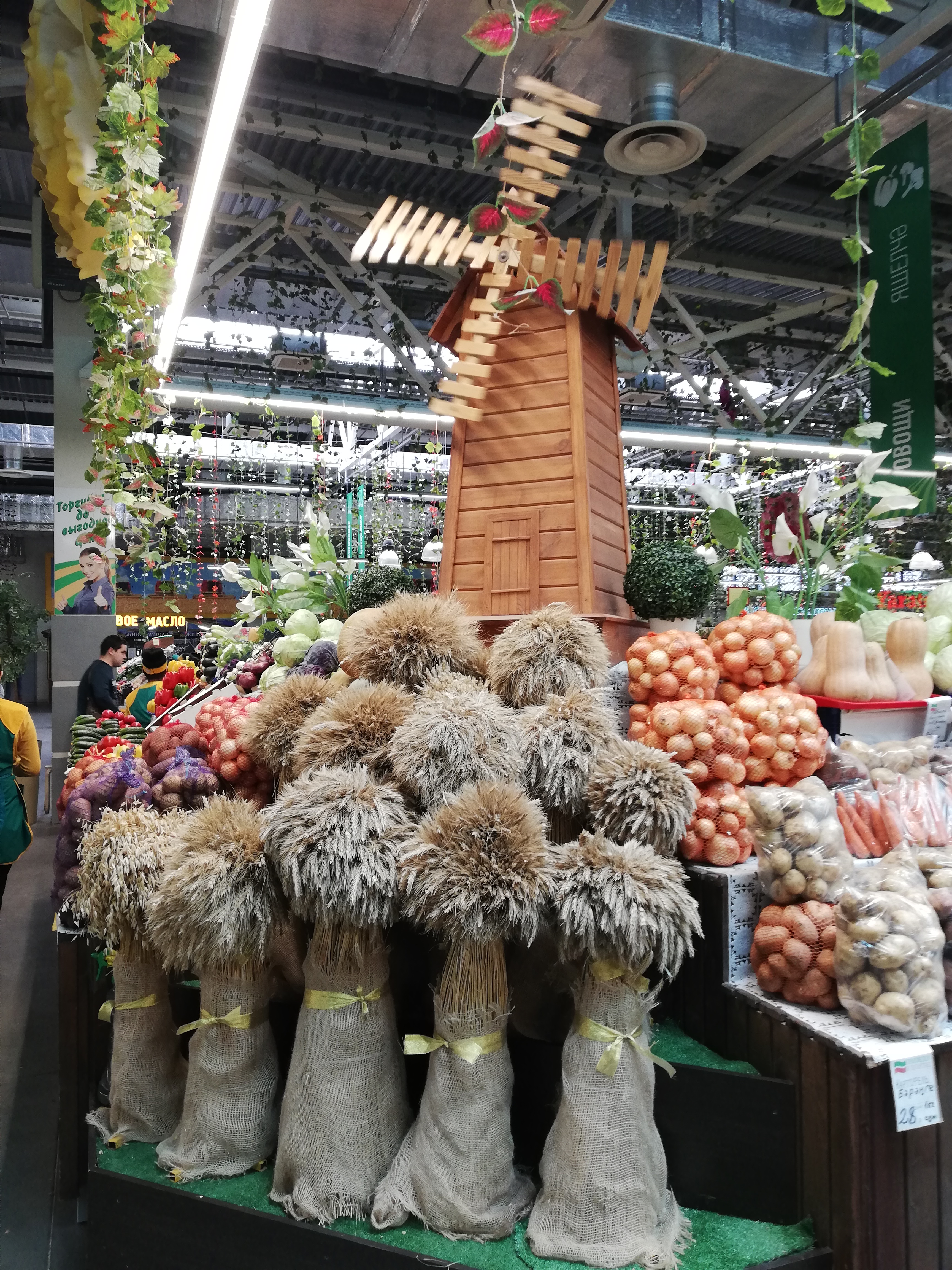 Фото Азалия на Аграрной