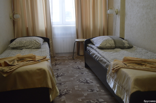 Фото Брусника