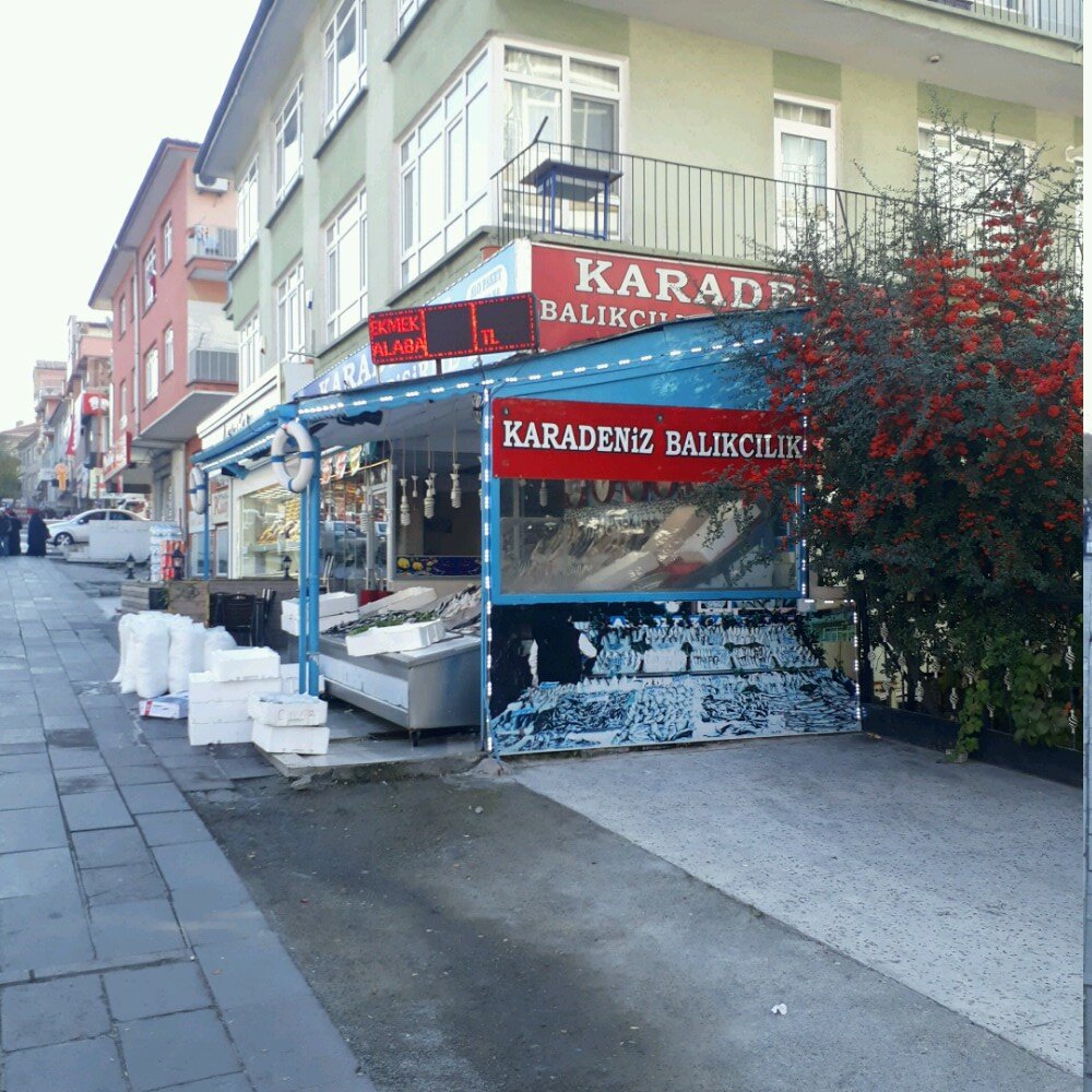 Restaurante Karadeniz Fishing and Cooking House, , foto