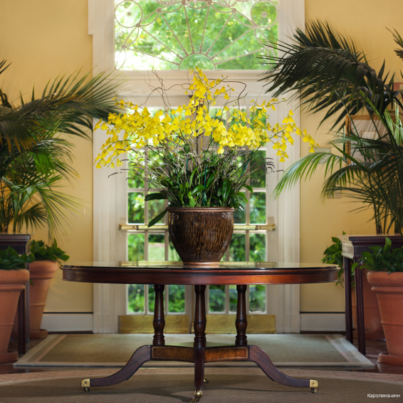Фото The Carolina Inn, a Destination by Hyatt Hotel