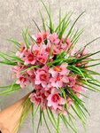 Zone Uyuta (Oblastnaya Street, 1), plantas y flores artificiales