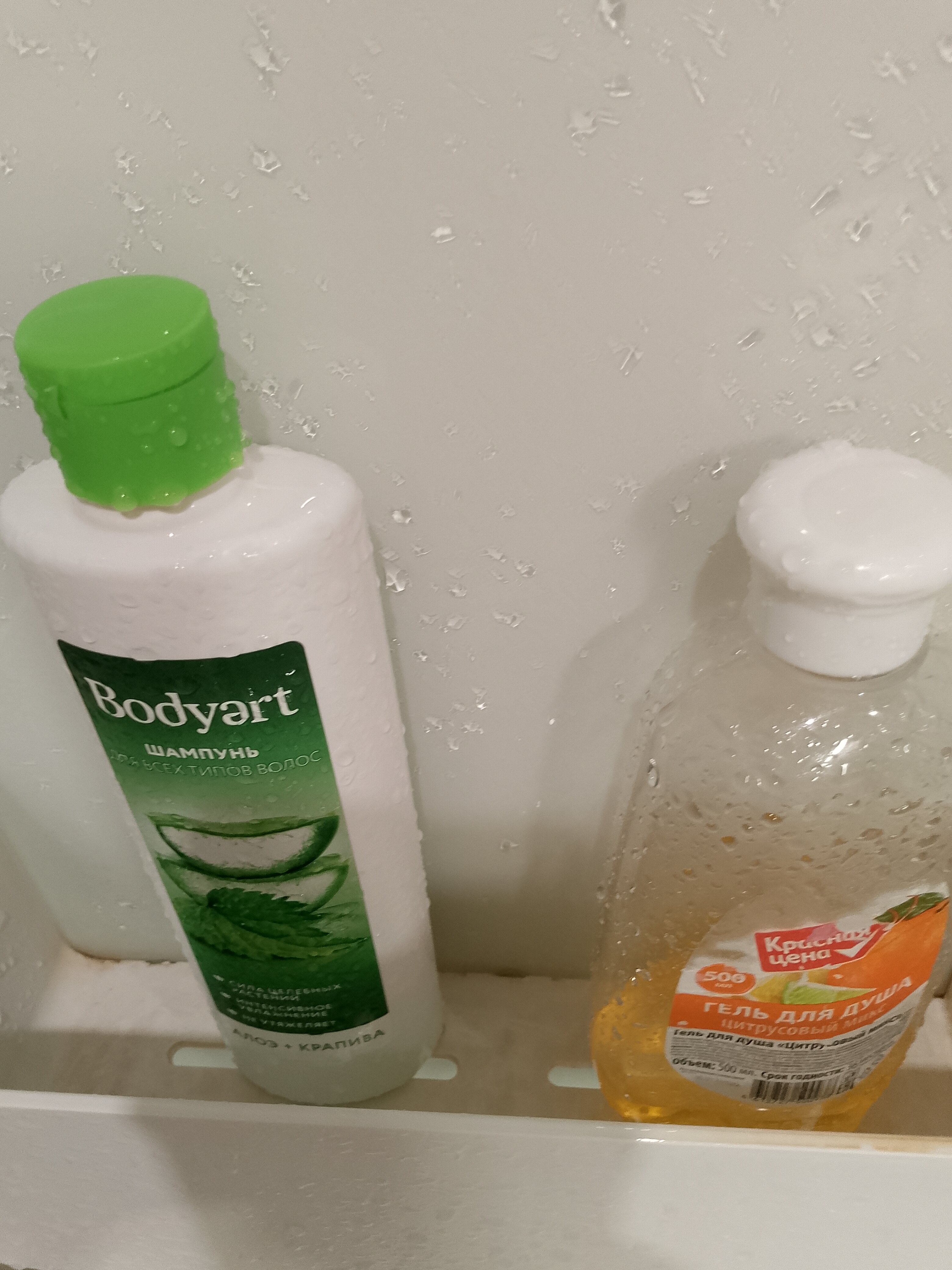 Фото Марко Поло