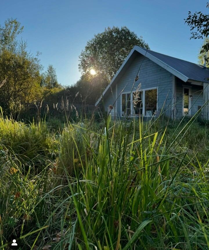 Фото Галерея