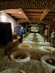 Shumi Winery (Kakheti, Telavi Municipality, Tsinandali), bodega