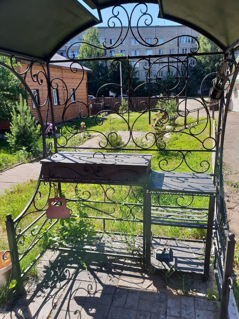 Фото Берёзка