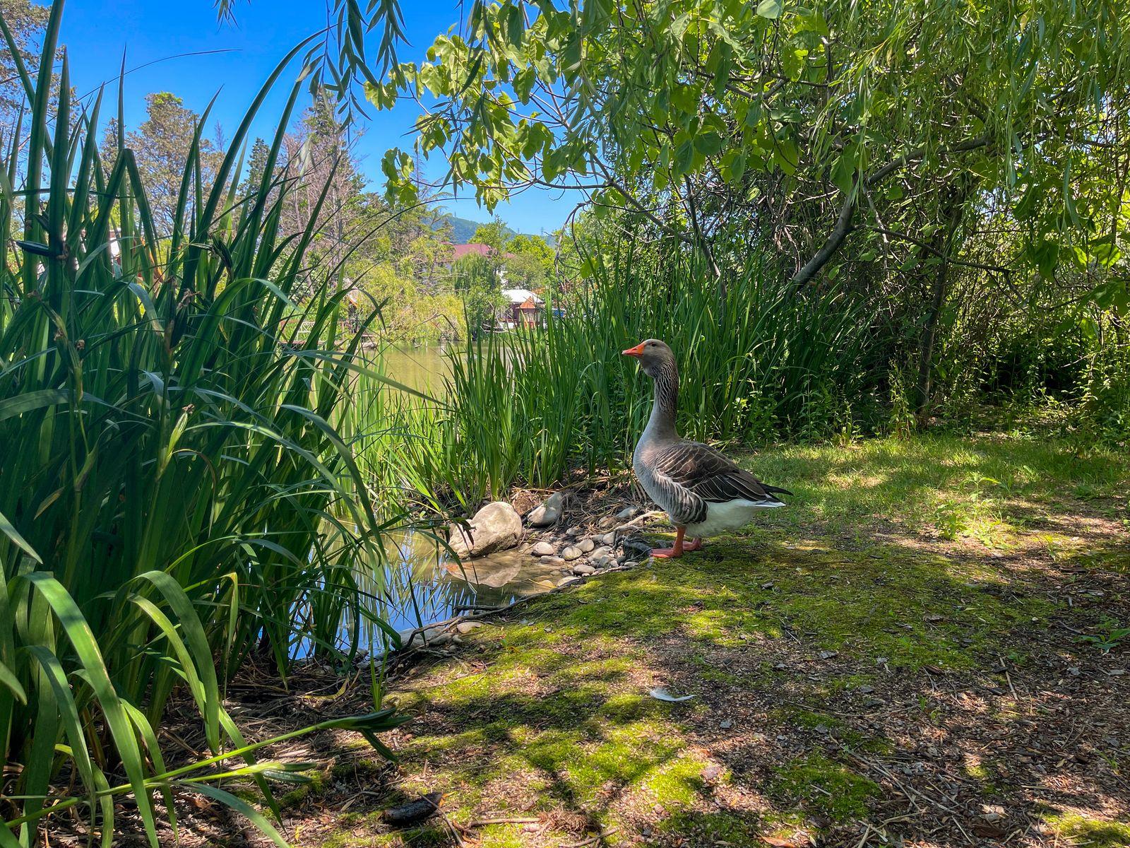 Фото Озеро Дивное
