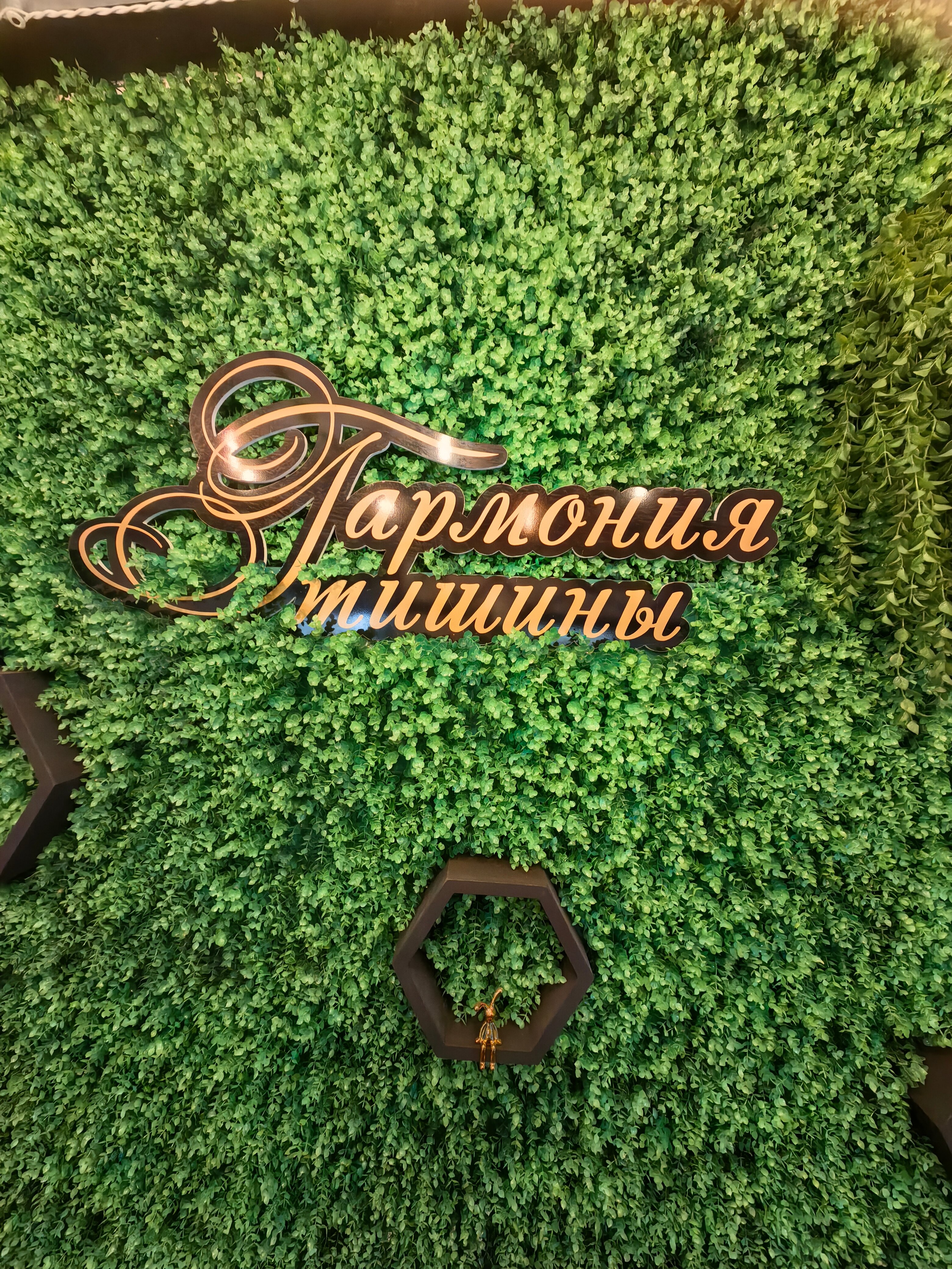 Фото Гармония тишины