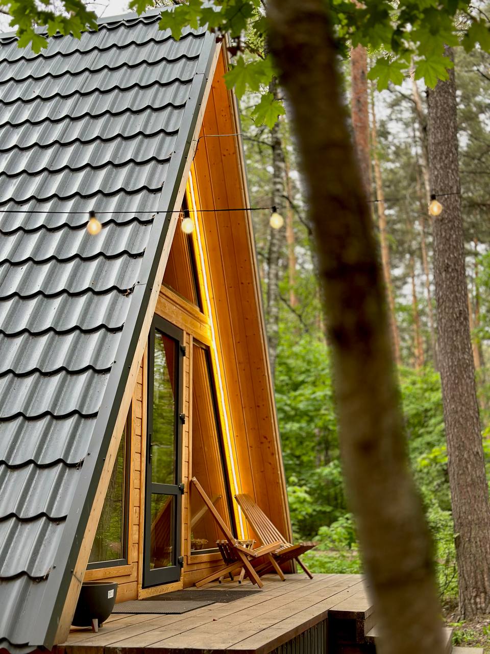 Фото Медвежий Угол