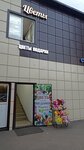 Цветы подарки (Strelkovaya street, с7), flower shop