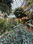 Greenhouse (Bolshaya Gruzinskaya Street, 1с111) ، متحف