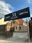 Rilak (Kabanbai Batyr Street, 34) ، محل زهور