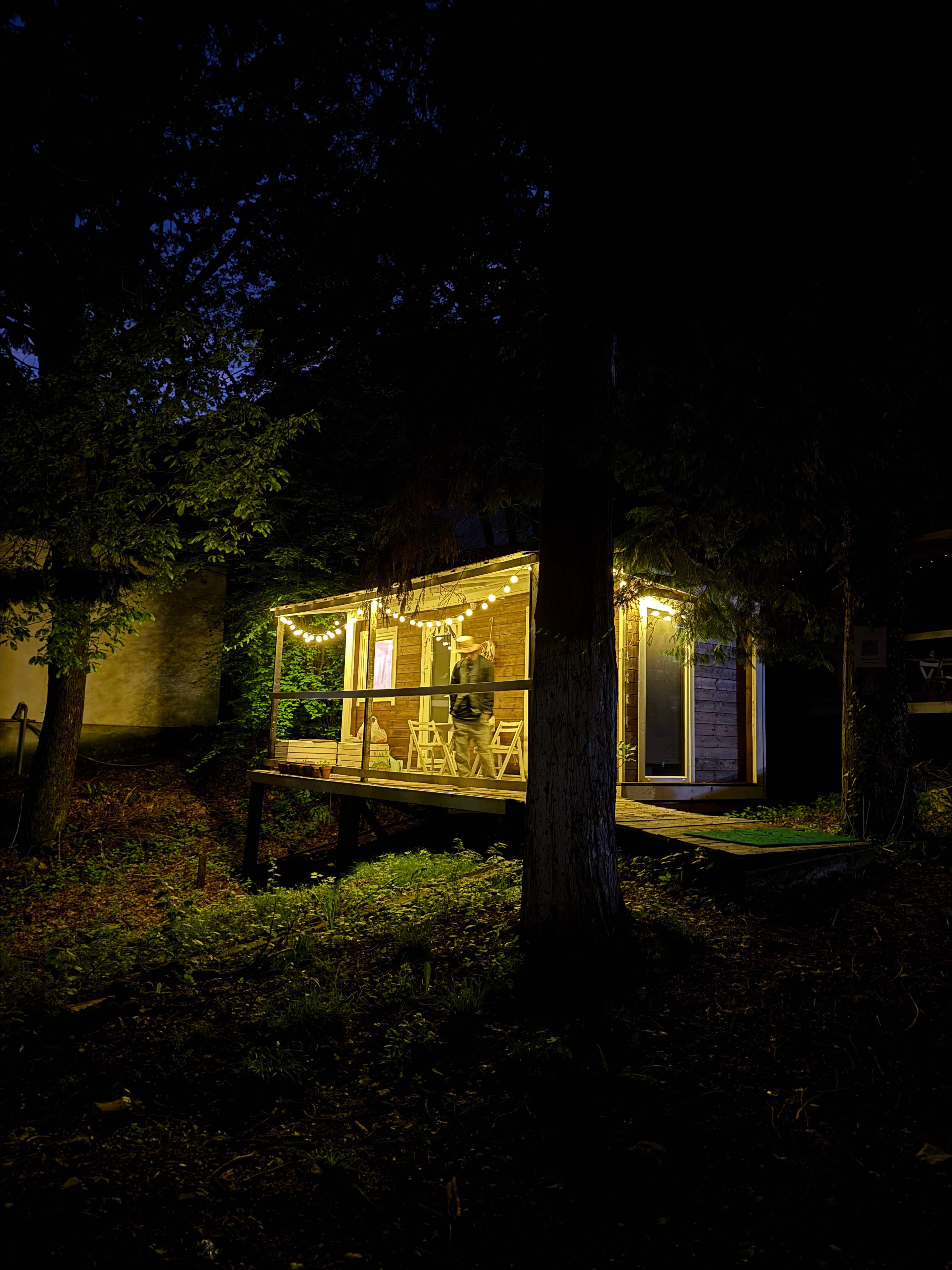 Фото Зайки в домике