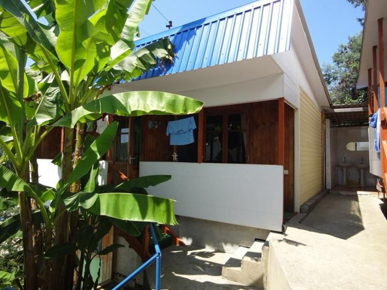 Фото Южная Пальмира