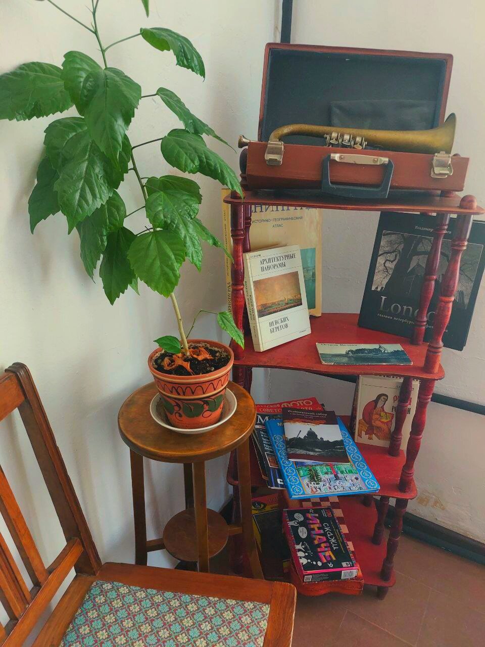 Фото У Эрмитажа