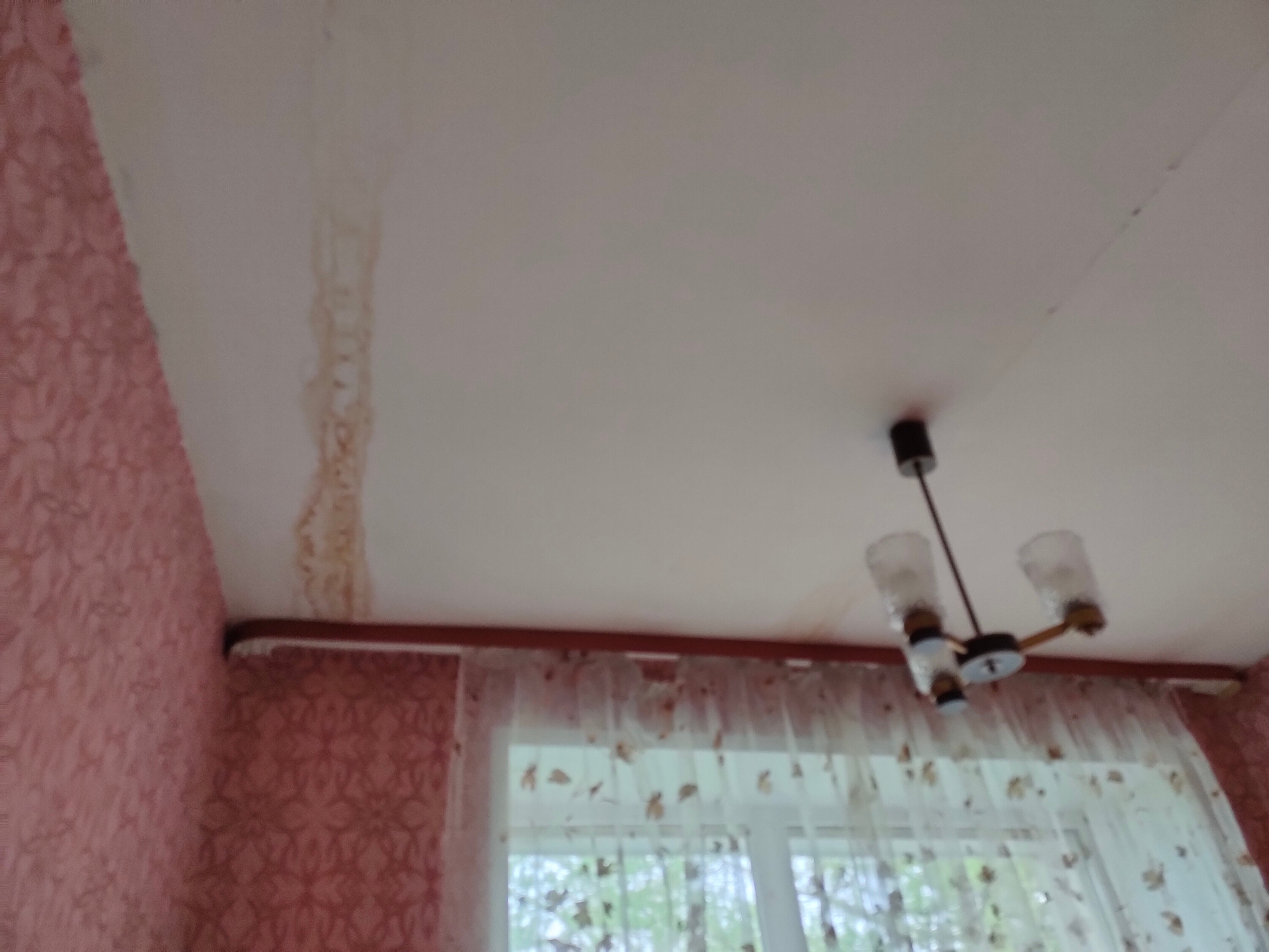 Фото Солнечный