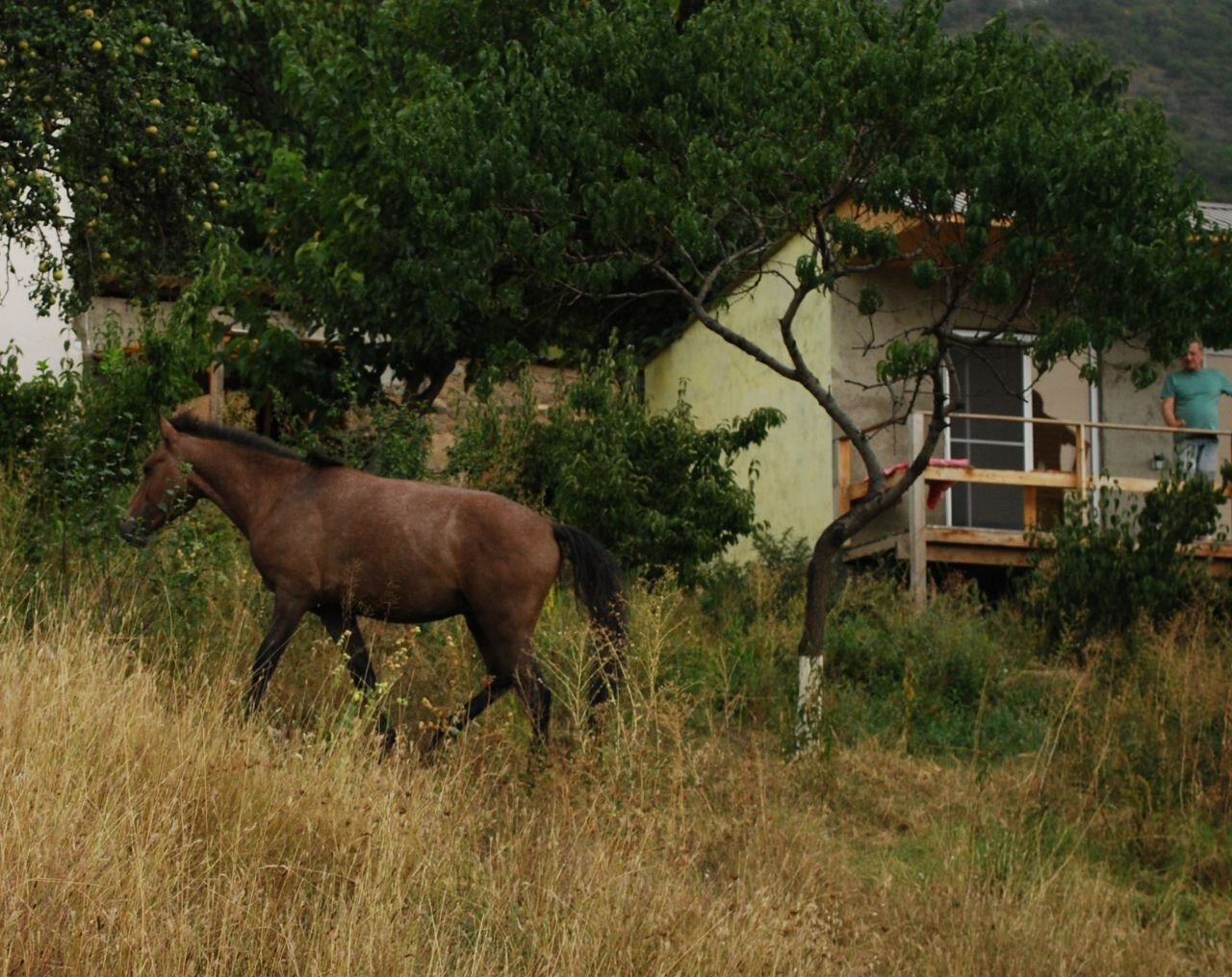 Фото Гостевой дом Кипарис