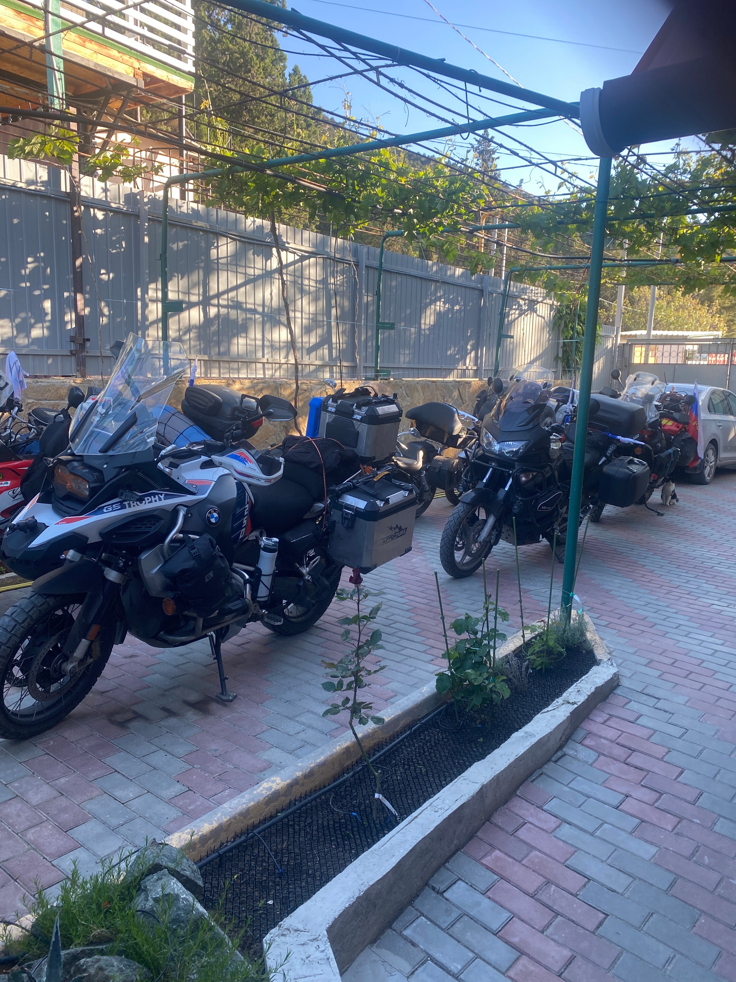 Фото Гостевой дом Миндальный 39