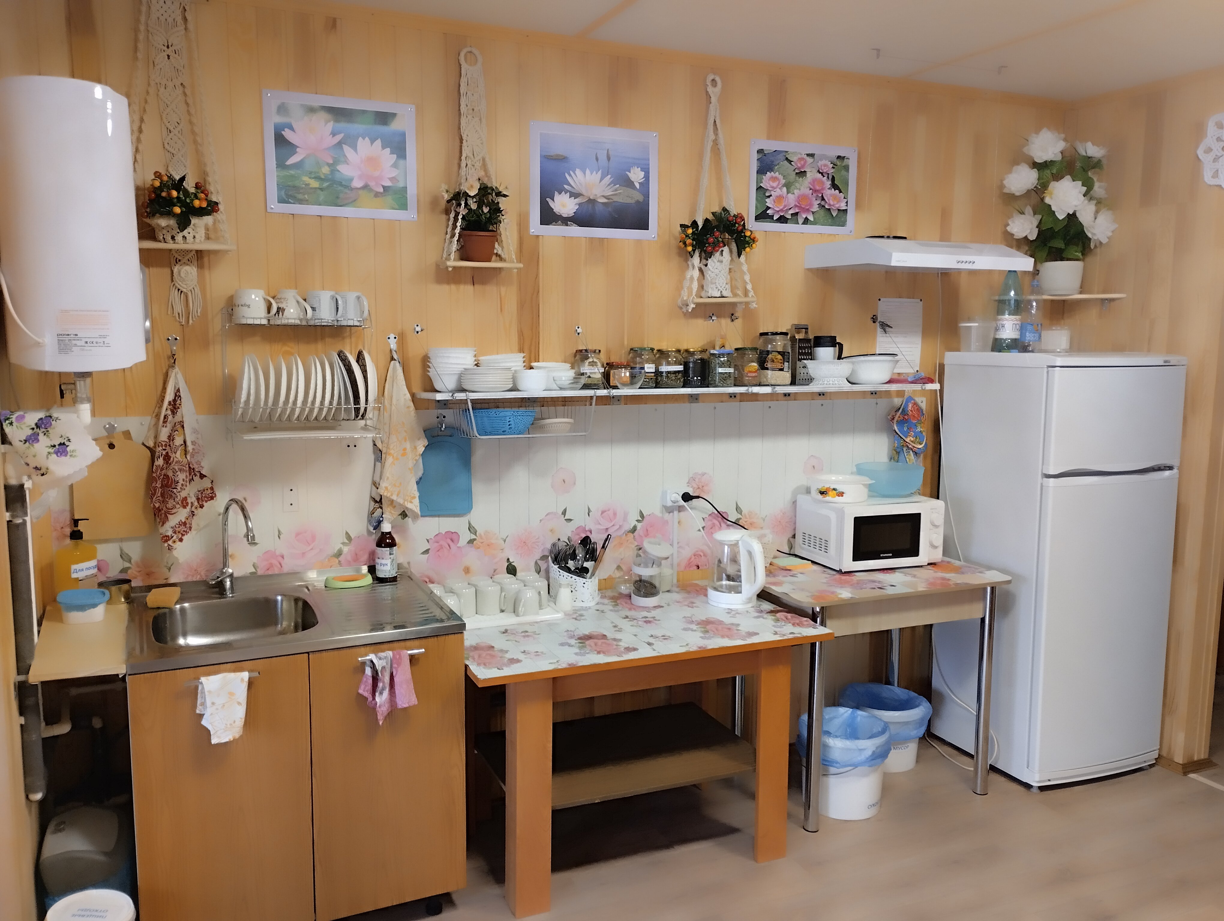 Фото Белый лотос