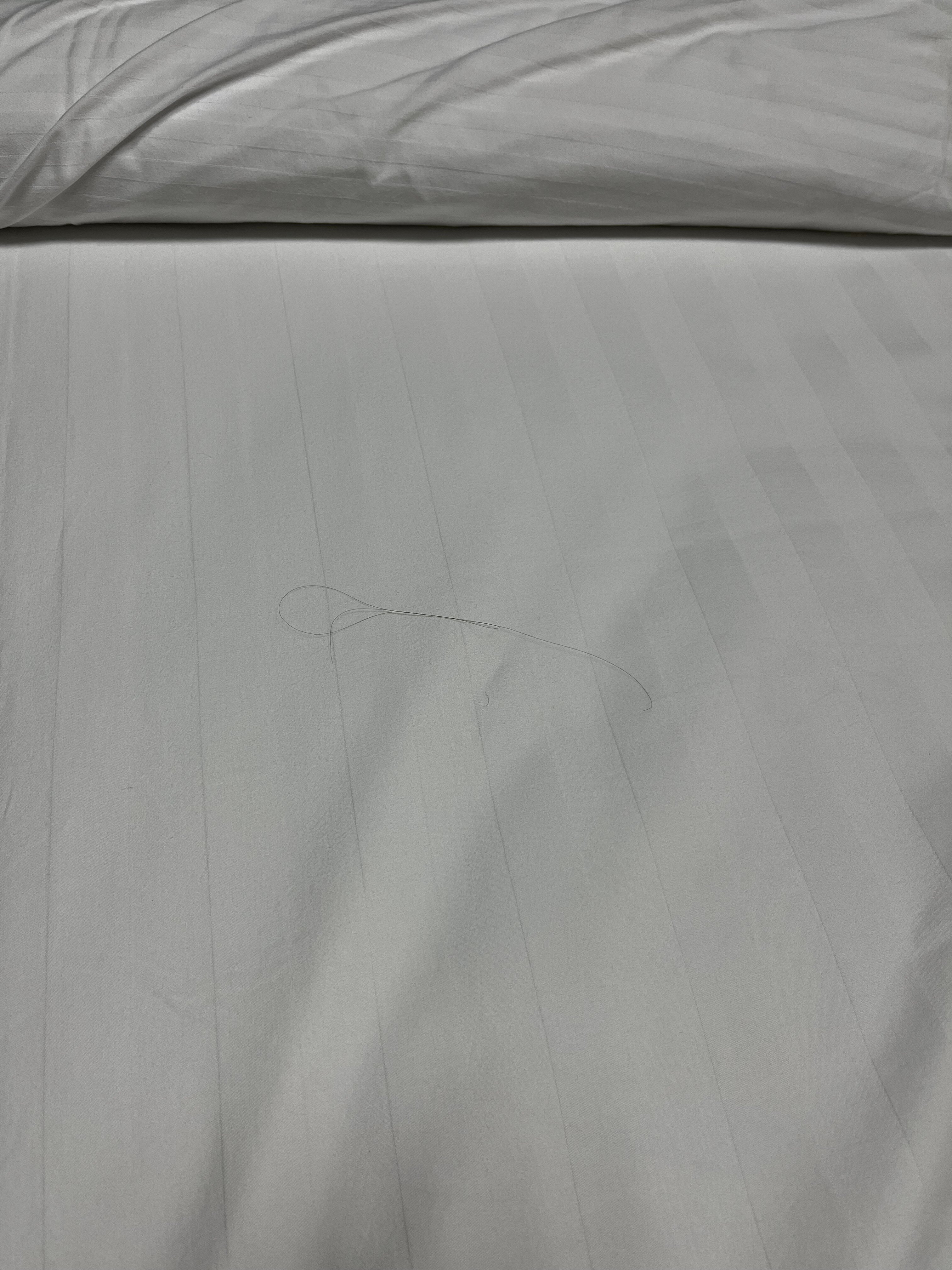 Фото Профит