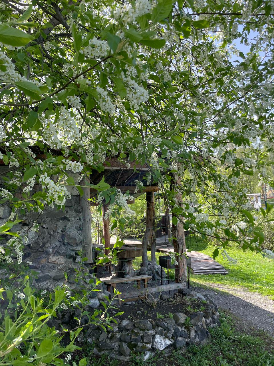 Фото На Радужном берегу