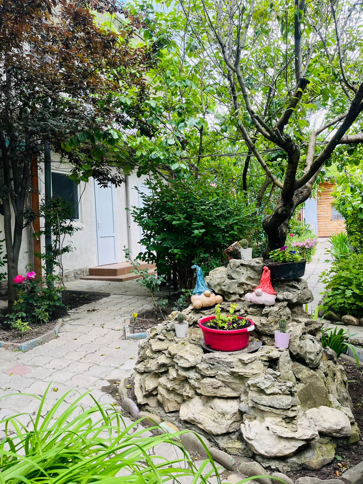 Фото Берёзка