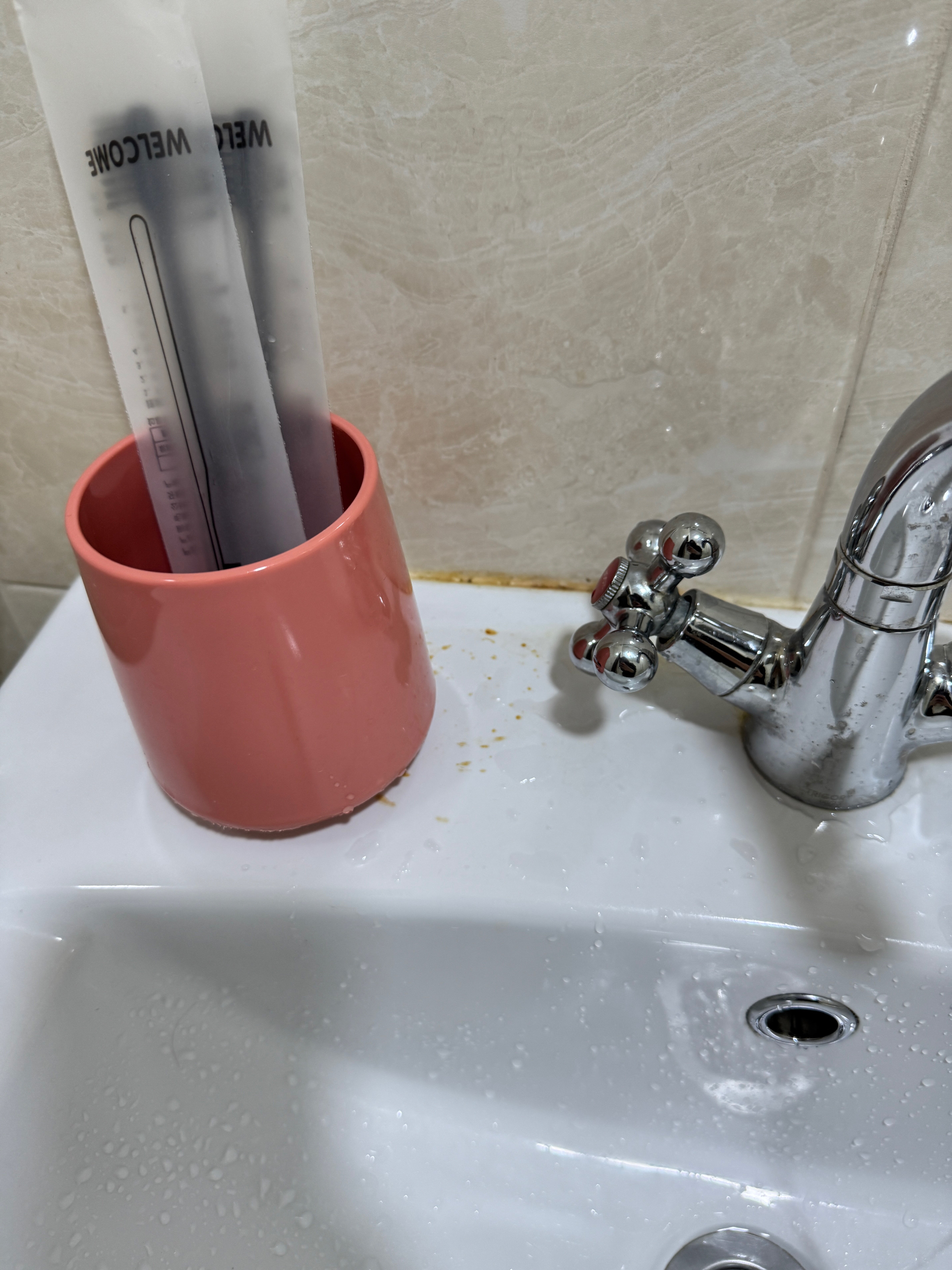 Фото Парацельс