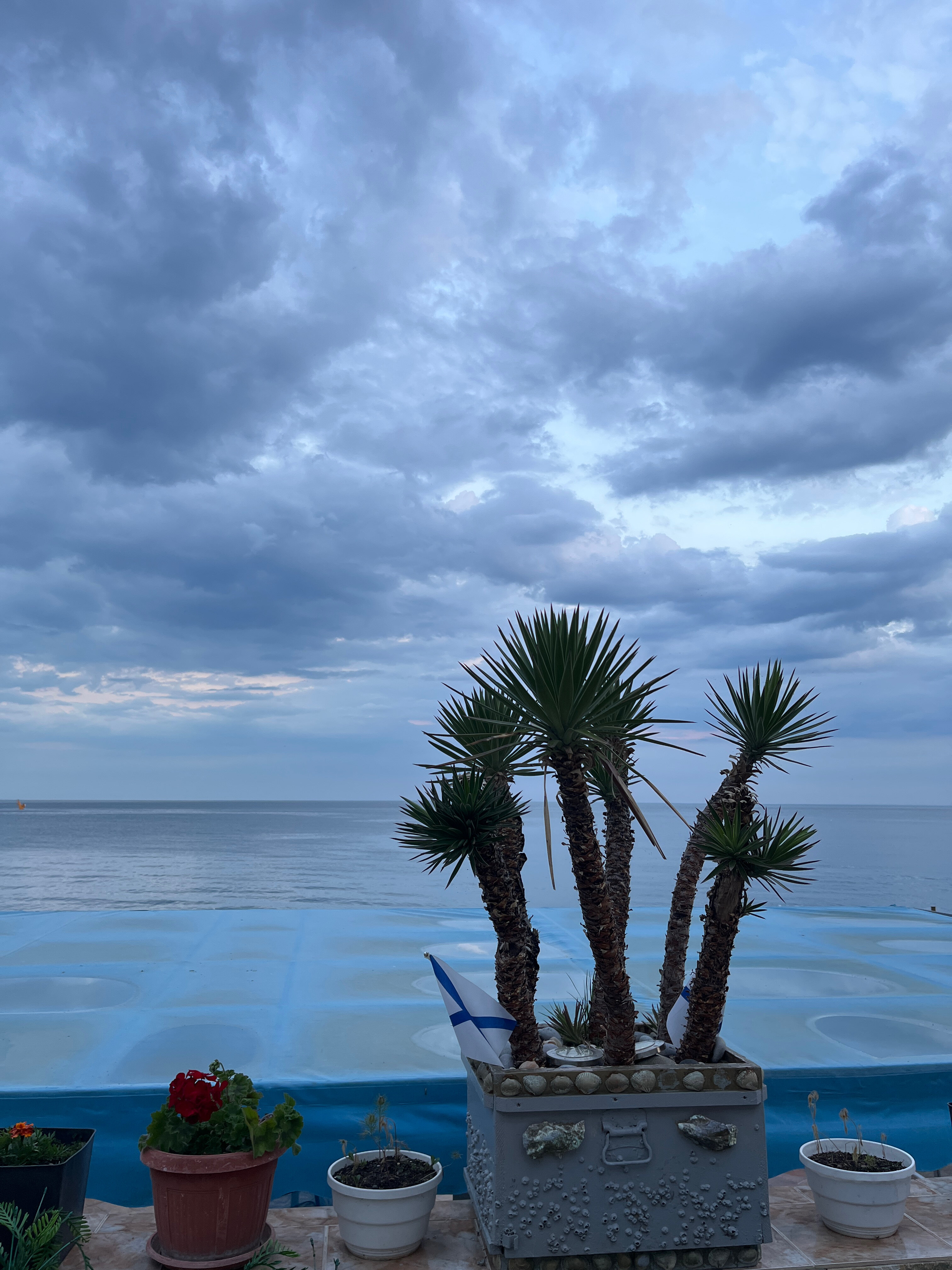 Фото Жемчужина