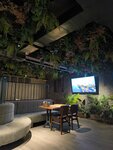 Hammersmith (Muqimiy Street, 21), bar, pub