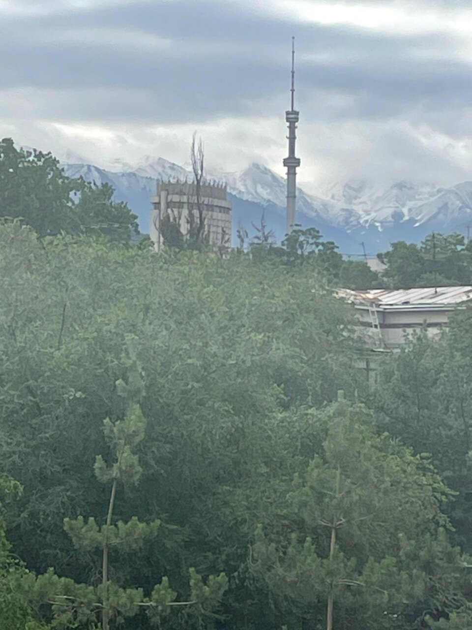 Фото Mildom Hotel