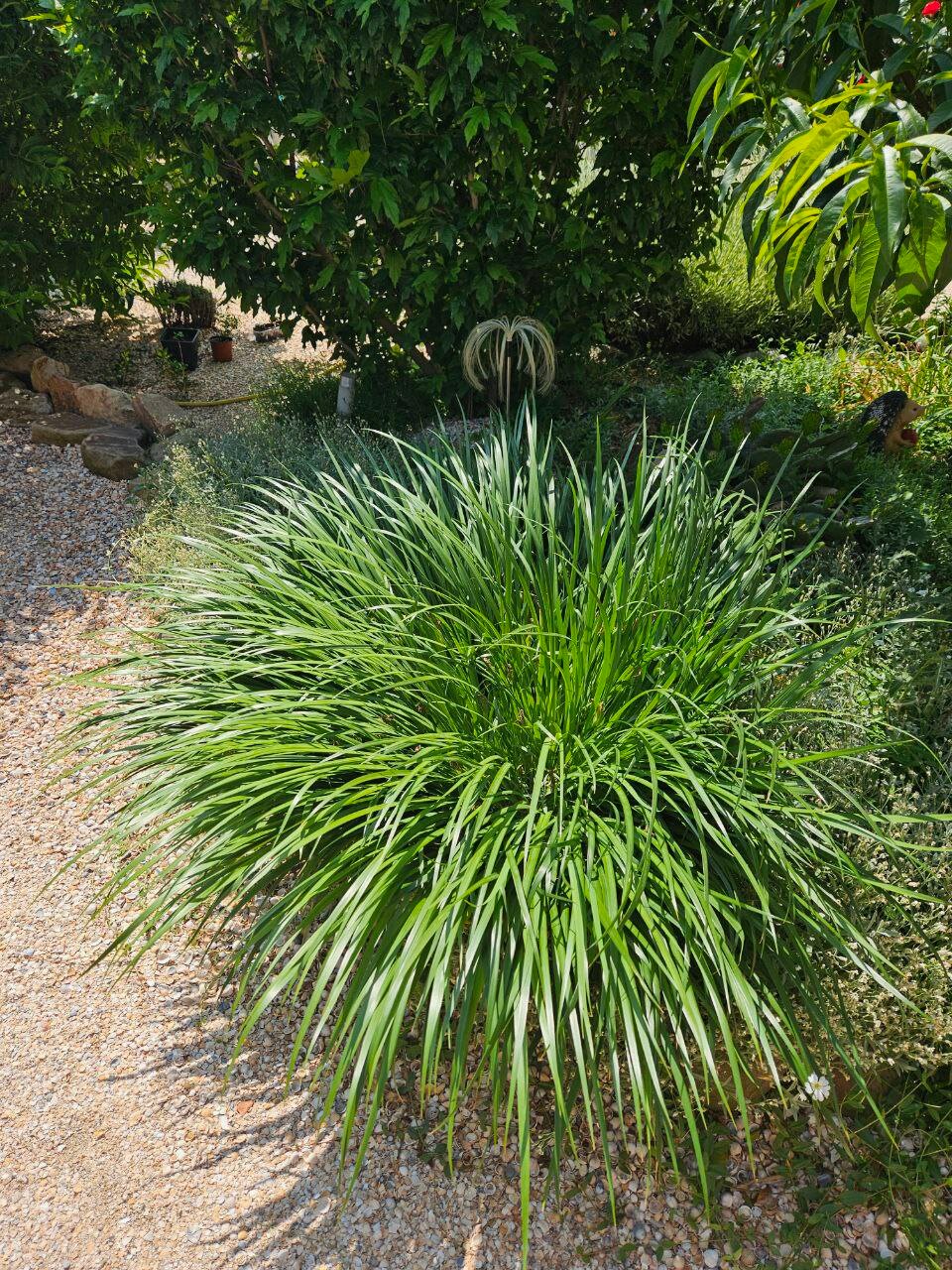 Фото Дом для отдыха на Фрунзе