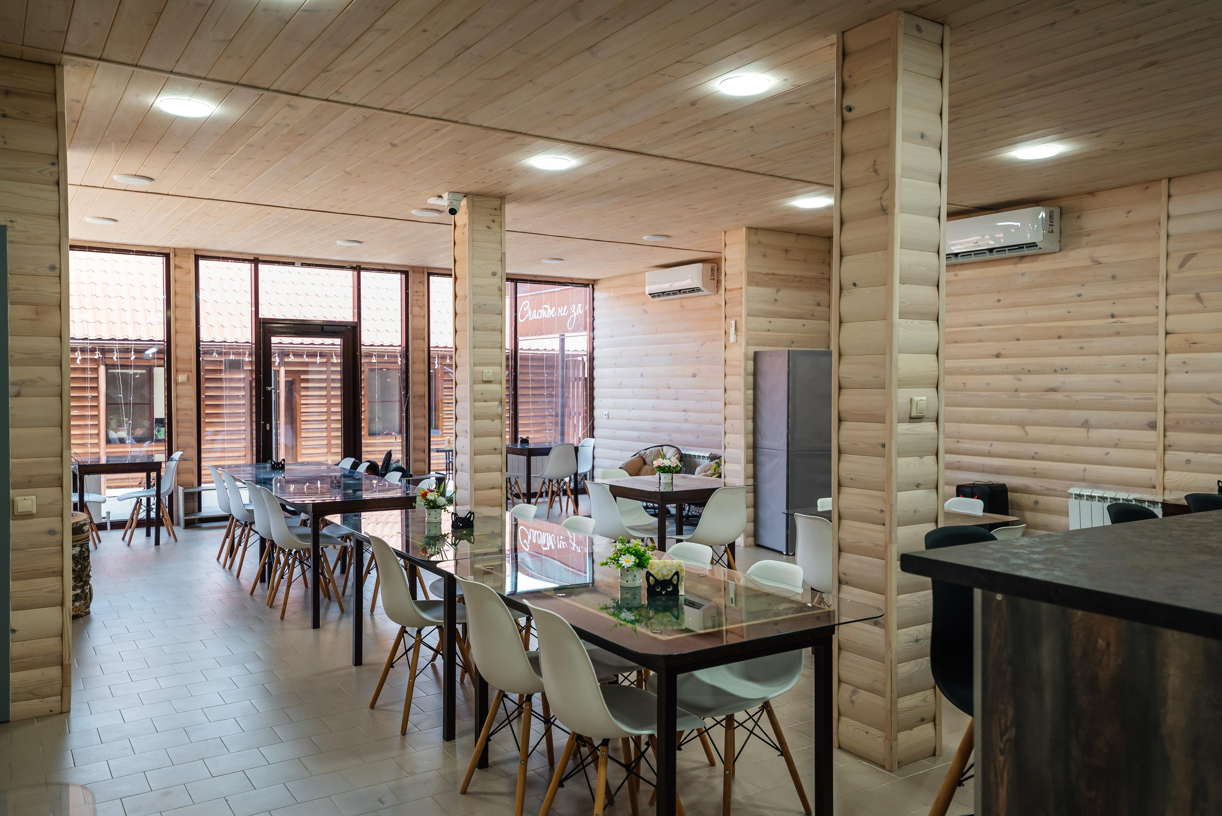 Фото Рыжий кот