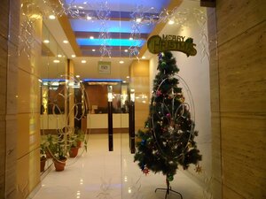 Гостиница Hotel Shelton
