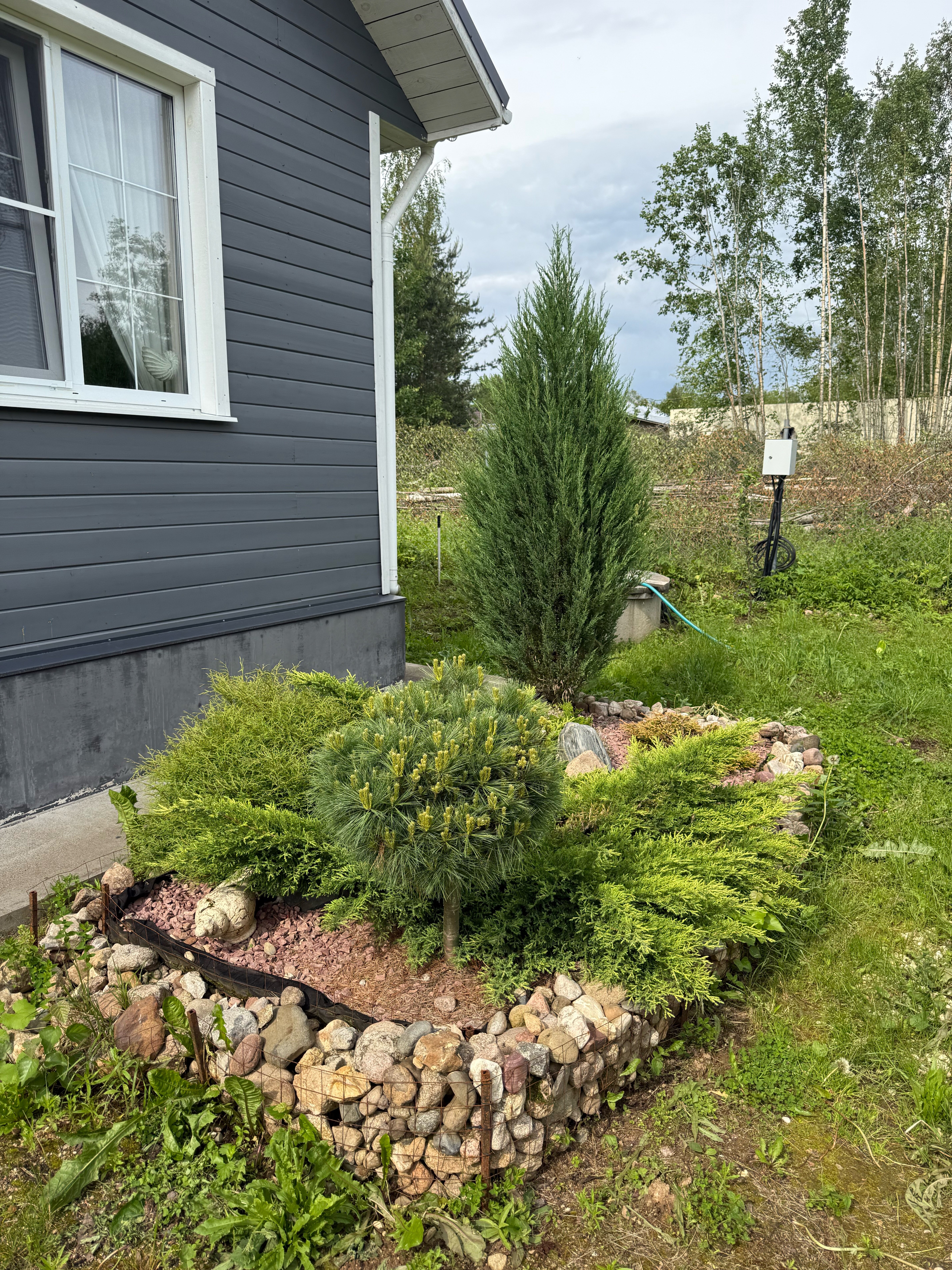 Фото Woodsy house