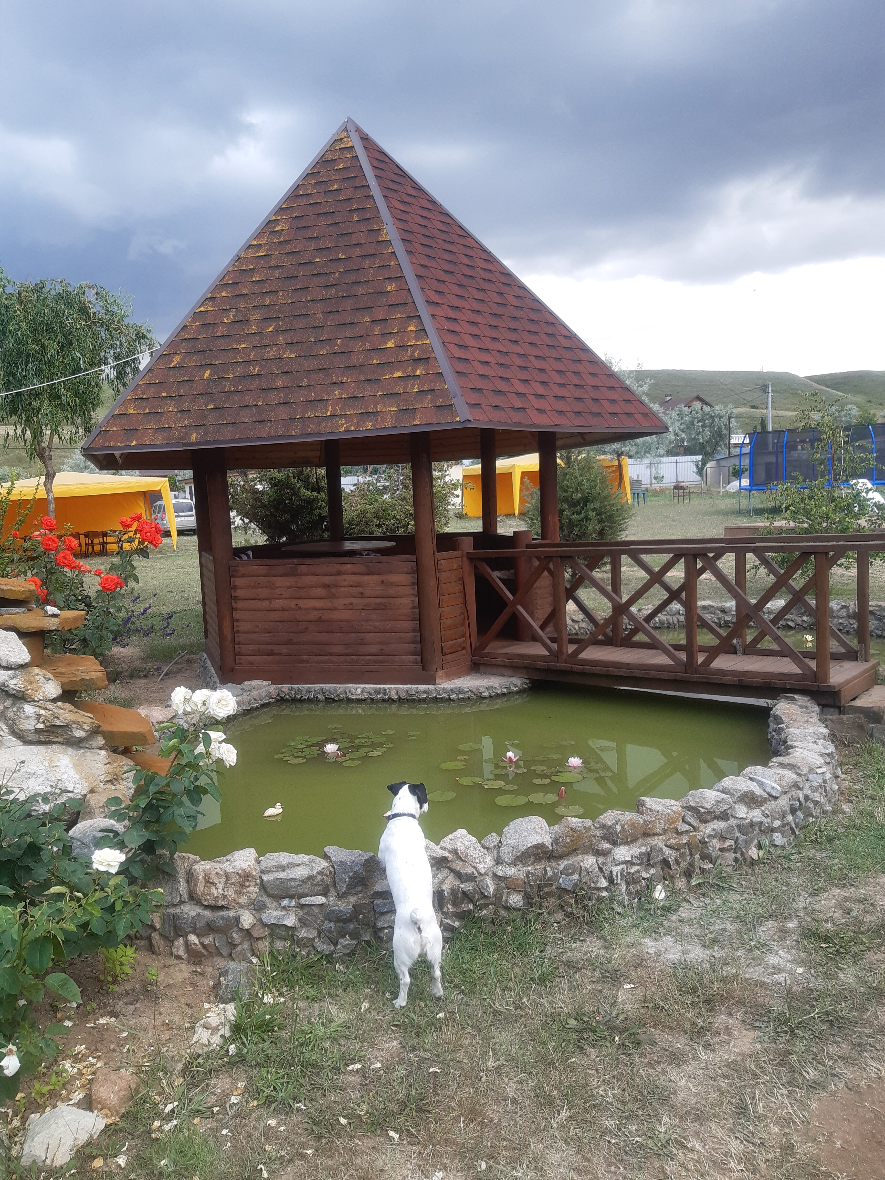 Фото Меотида