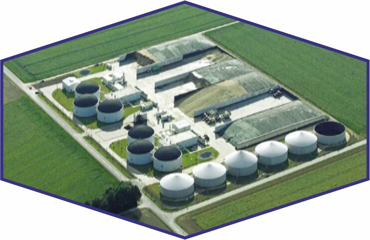 Management company Mentor Industry Export and Import, Istanbul, photo