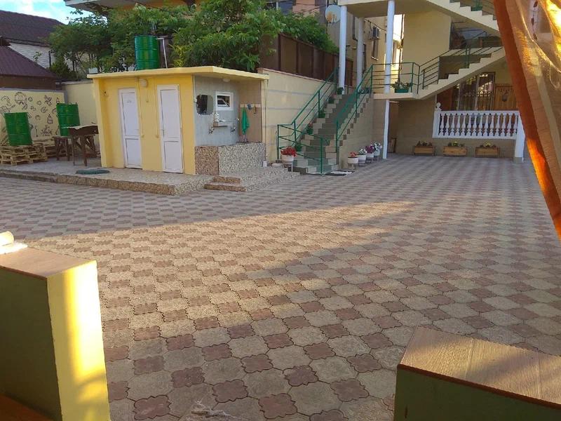 Фото Кипарис