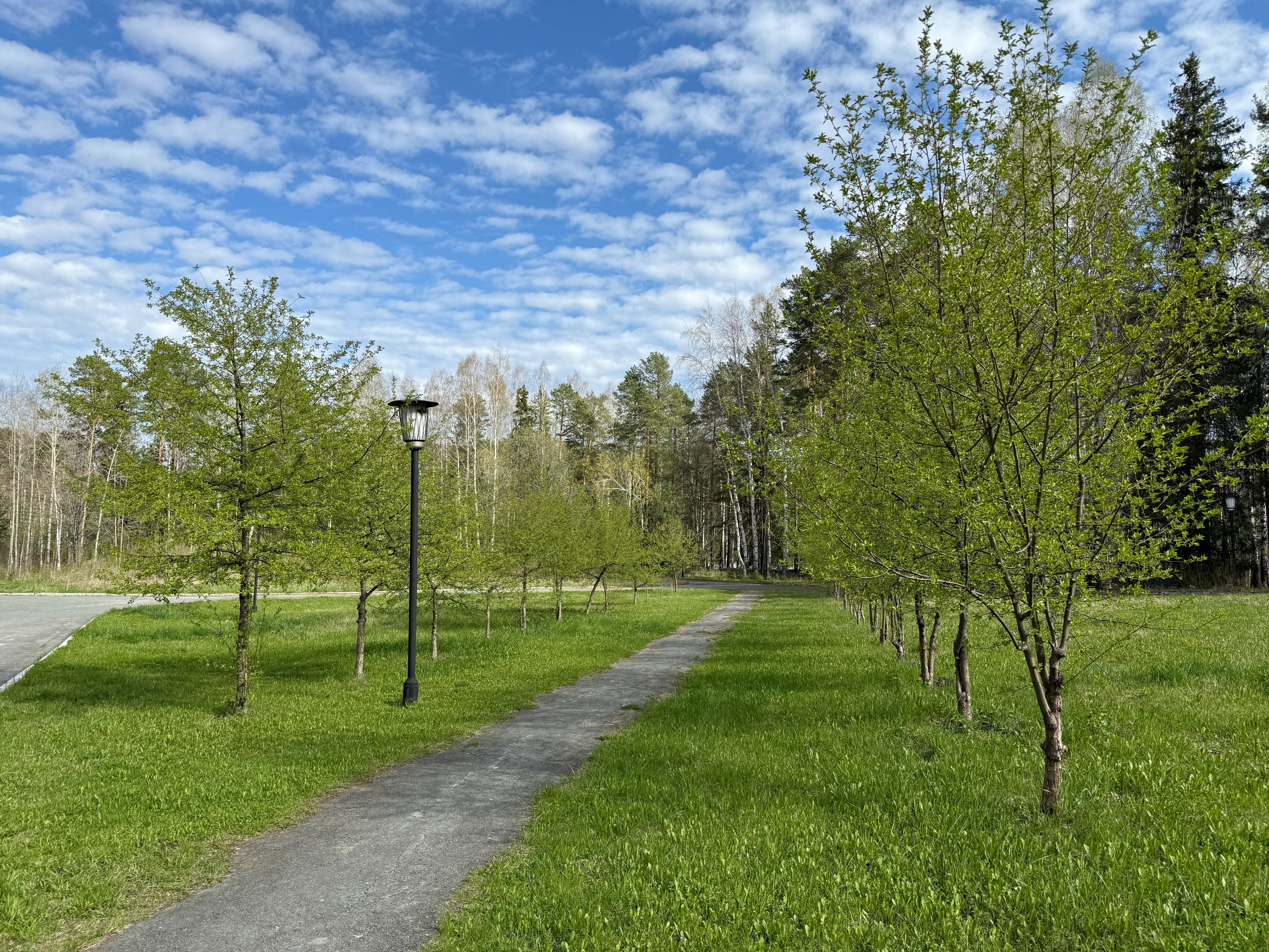 Фото Энергетик