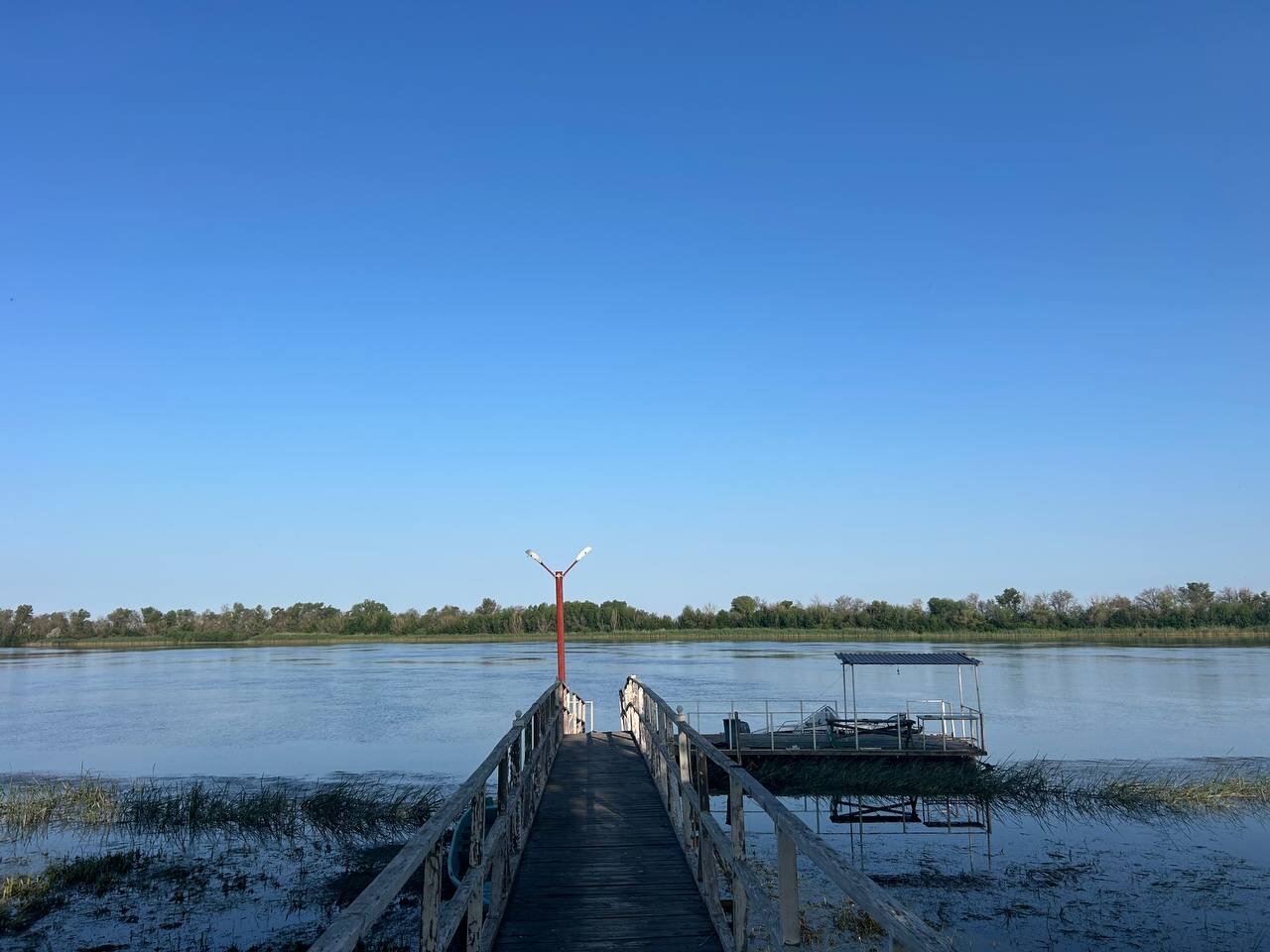 Фото Трофей