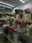 Bambini flowers (Rublyovskoye Highway, 22к2) ، محل زهور