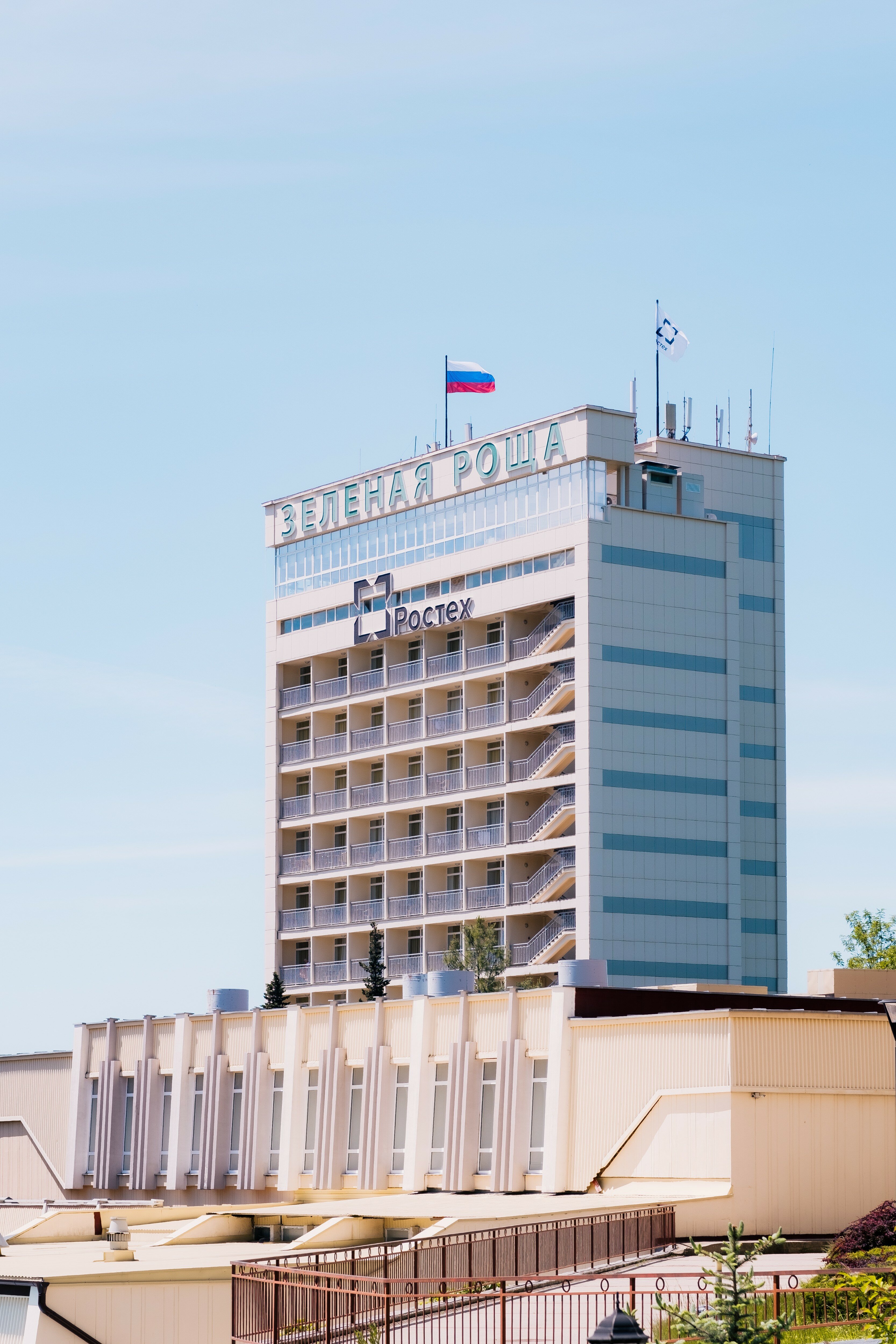 Фото Зелёная роща