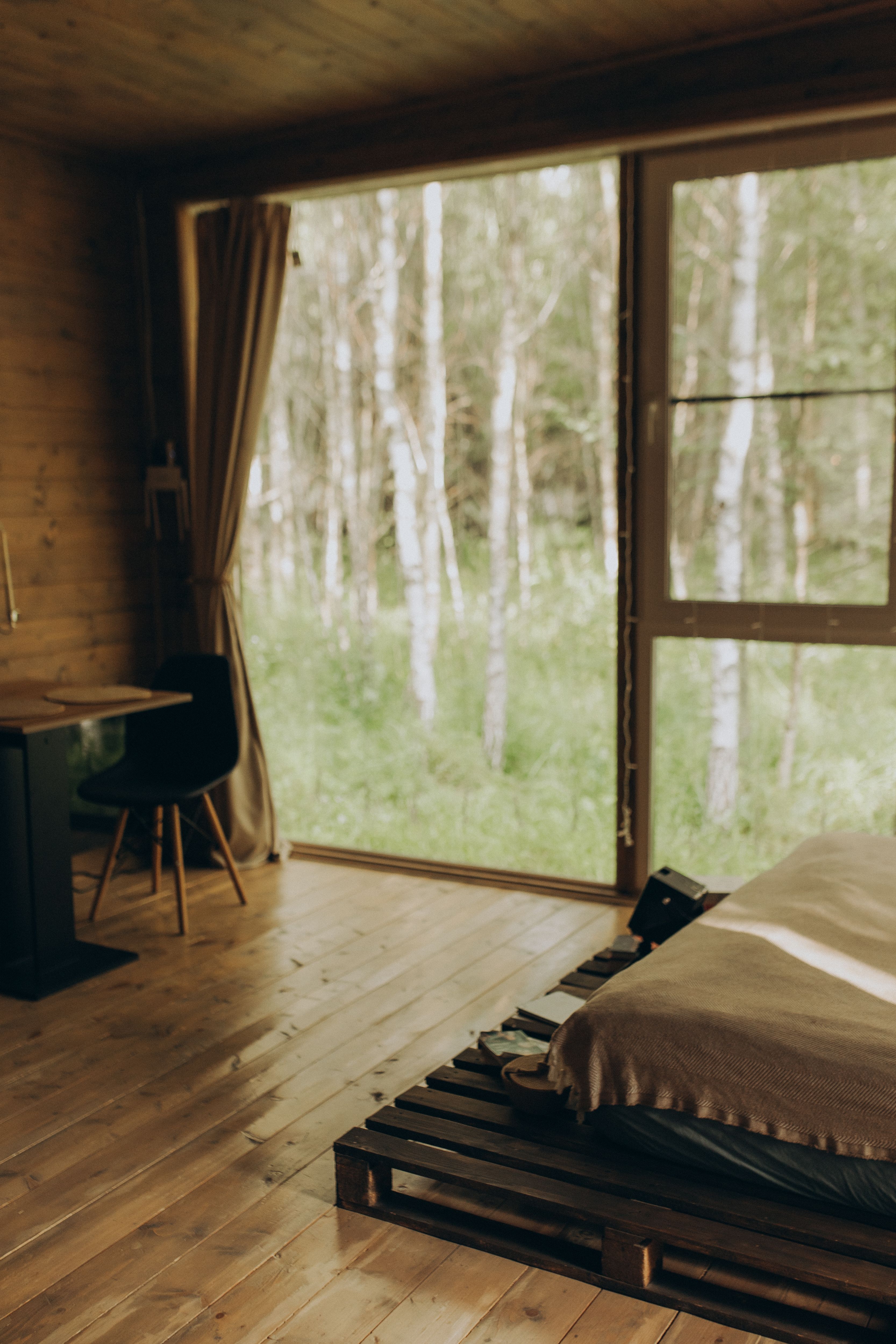 Фото Два зайца