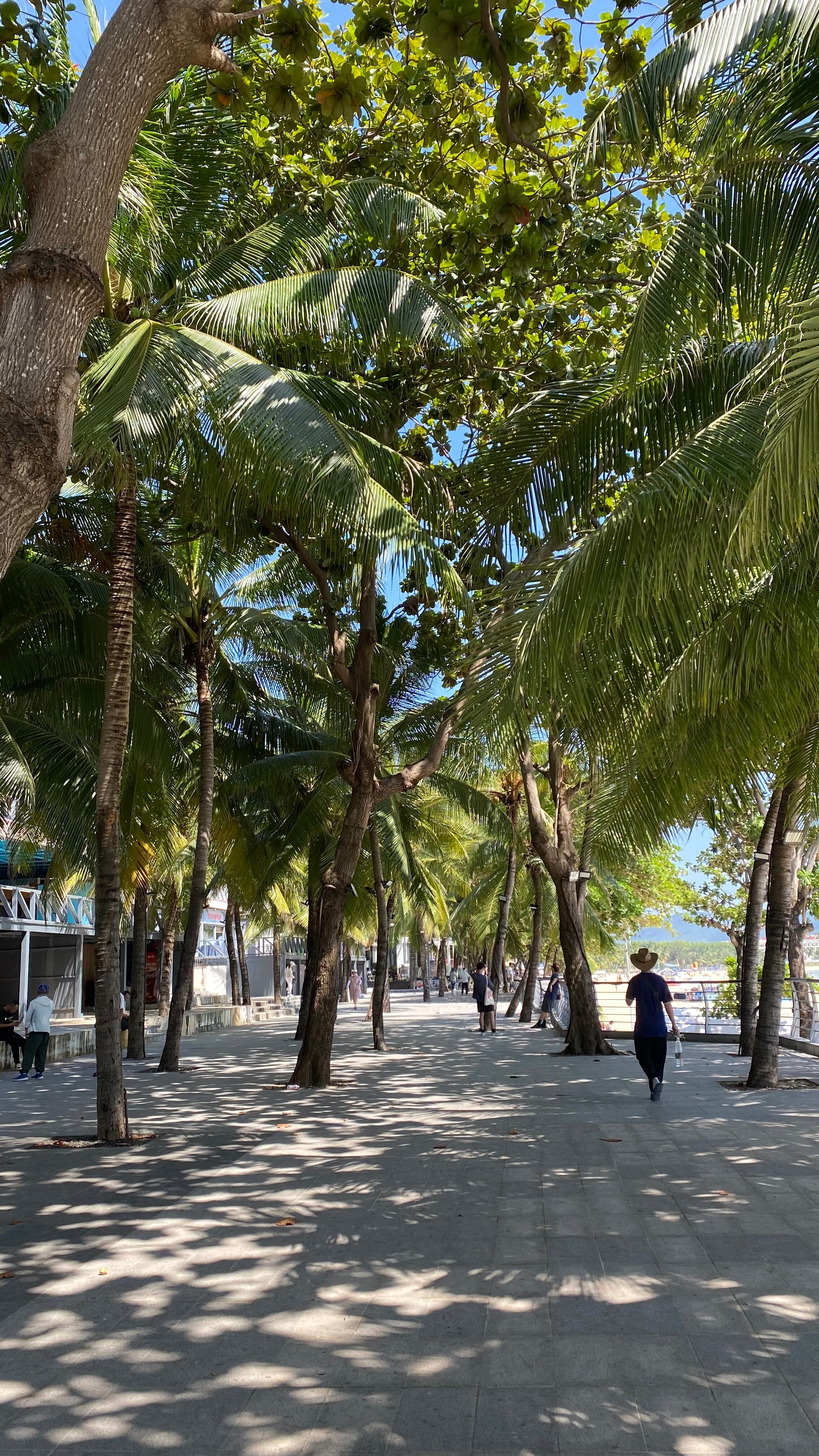 Фото Ssaw Boutique Hotel Sanya