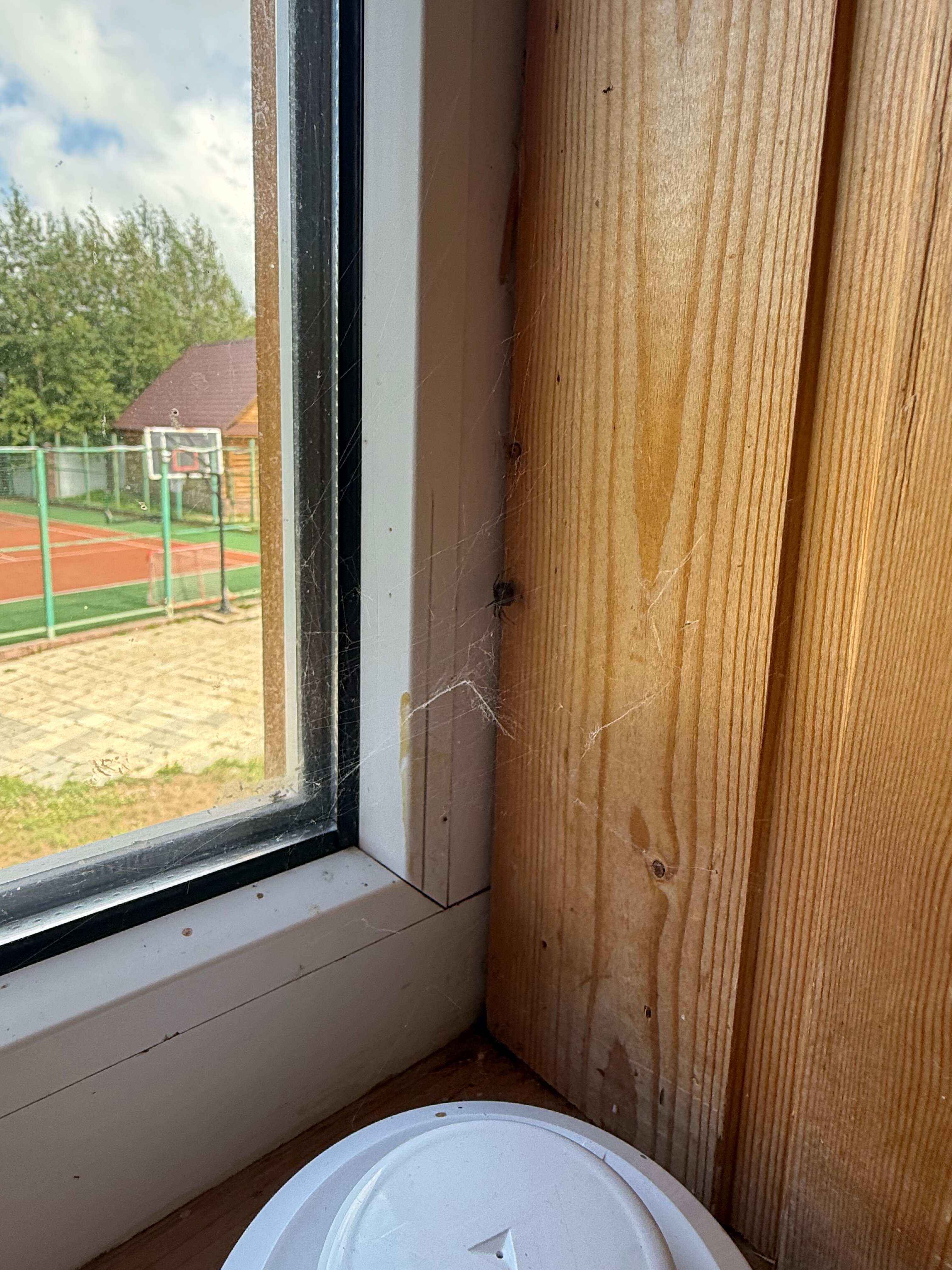 Фото Берлога